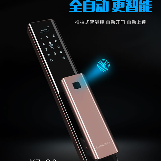 扬子智能锁_扬子智能锁 Q8家用防盗门推拉式智能门锁
